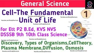 Cell- The Fundamental Unit of Life Sciences for Ett P2 Master Cadre KVS DSSSB NVS 9th & 10th Class