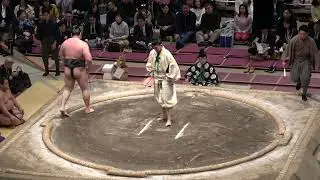 4K 『副賞は「稽古1日お休み券」❗️』伊勢ヶ濱部屋幕下以下トーナメント戦 三重ノ富士 聖富士花の富士 鈴ノ富士 旭富士 美富士 夢ノ富士 嵐富士 【照ノ富士断髪式】  TERUN 2026/1/31