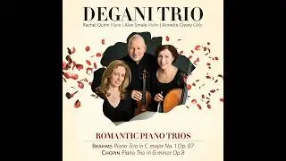 Chopin Piano Trio in G Minor Op 8 Degani Trio