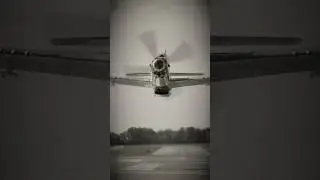 P-51 Mustang REAL SLOOOOW. #warbird #aviation #airplane #asmr #ww2 #history #aircraft