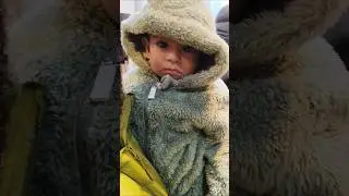 Mery Christmas #lilchamp Dev #lilchamp Pepon #cutebaby #trending #shorts #ytshorts #viral
