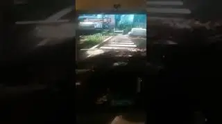 Tokyo jungle in a nutshell