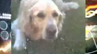 Muvee0001