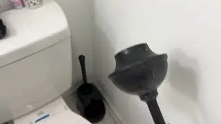 What to know about this plunger & brush combo