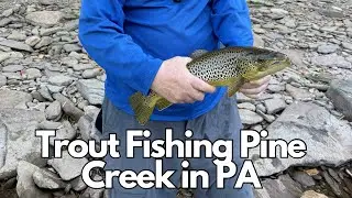 Trout Fishing Pine Creek in PA at Slate Run