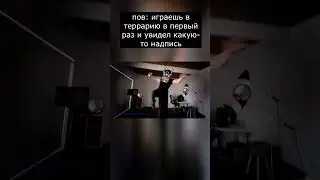 был пацан, и нет пацана... #terraria #thedestroyer