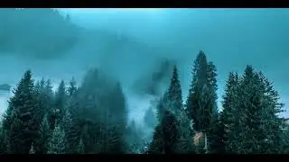 30 Min Stress Relief Music | Calm Anxiety with Nature Sounds & Relaxing Ambient Music