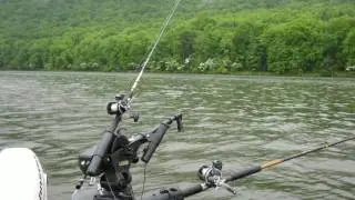 Southern Utah Fishing report