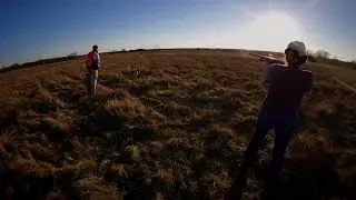 Late-season Bobwhites | Saint Jo Texas 