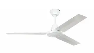 Little bit noisy ceiling fan