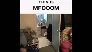 this is MF DOOM full lore (i think)