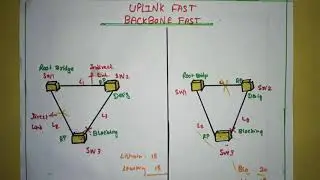 What is Uplink fast and Backbone fast ? | Tamil | Session 18 |