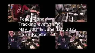 Harry Rooster - Peach Candy - Official music video