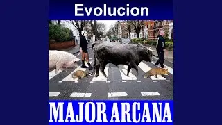 Evolucion