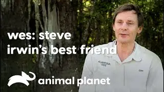 Wesley Mannion - Carrier of Steve Irwin's Legacy | स्टीव इरविन की विरासत का वाहक