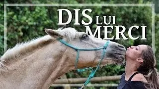 [ AUDIO ] - DIS LUI MERCI
