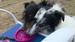 Girls Get More Playtime Outside! 💯