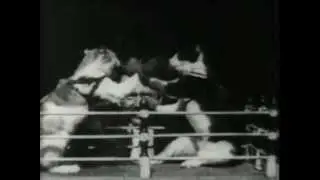 The Oldest Cat Video on YouTube: 1894 Boxing Cats