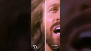 New Bee Gees Videos #shorts