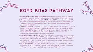 cell communication project: pancreatic cancer
