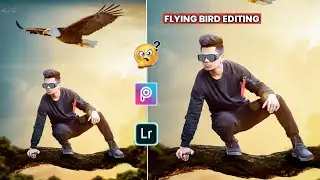 Flying Bird Photo Editing || PicsArt Photo Editing || Ronnie Editing Zone