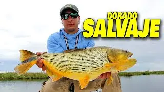Antes de venir a pescar, MIR&Aacute; ESTO 🎣 Cuando el camino ya no est&aacute; en el mapa