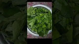 Gongura Roti Pachadi| One Bite & You&rsquo;ll Remember Andhra! 😋 #andhrastyle #ytshorts #gongurapachadi