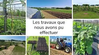 Témoignage d'élèves de 1ère Bac Pro Conduites de Productions Horticoles à Gembloux en Belgique