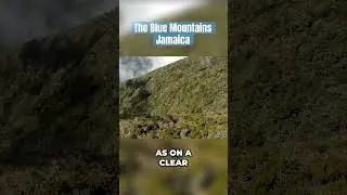 The Blue Mountains Jamaica