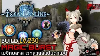 Toram Online - Build Magic Burst  Lv.230 นี้แหละเวทสายสแปมดาเมด