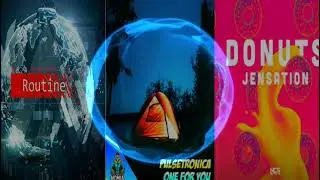 Alan Walker & David Whistle - Routine ~ Jensation - Donuts ~ Pulsetronica - One For You (MASHUP)