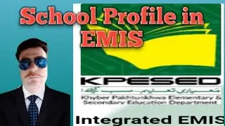 School profile in EMIS
