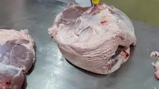 Preparing For Trade Test Australian Employer | Deboning Skills | Phil Butcher