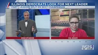 Illinois Democrats Look for Next Party Leader