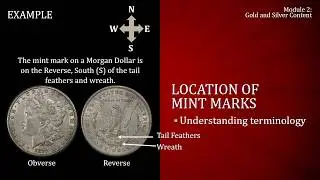 Module 2 Video Understanding the Gold and Silver Content of Each Coin
