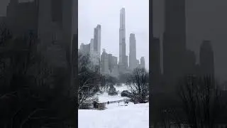 Snowfall In Time Square New York City
