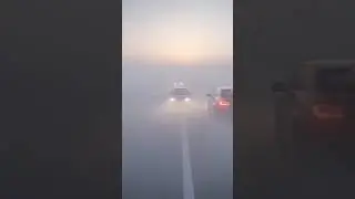 Driving in Fog? These 3 Mistakes Could Cost Your Life 🤔 #fog #facts #shorts