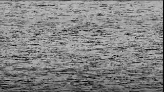 VHS VCR Interference Noise
