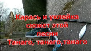 Карась и уклейка сюжет этой песни, танаго, танаго, танаго