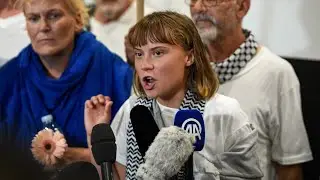 Thunberg's ‘clown crew’ a laughingstock for complaining about time in jail