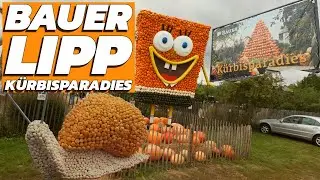 Kürbisparadies & Maislabyrinth-Action: Bauer Lipp 2025