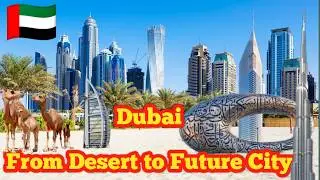 Dubai 🇦🇪 | From Desert to Future City ✨ #Shorts