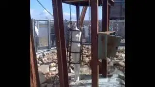 Saw Alive