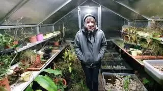 Miniteiche im Winter | Wasserschnecken und Wasserasseln