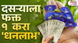 Dasara Vishesh Upay : Dhanpraptiche Achuk Upay! Dussehra Money Tips | Dasara | SG3