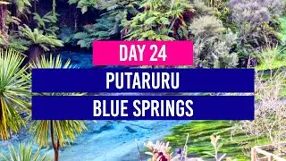 DAY 24 💙 Putaruru Blue Springs - New Zealand Travel