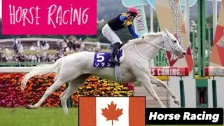 🏇🏽 Horse Racing | Great Canadian Casino Resort | Canada 🍁 🇨🇦