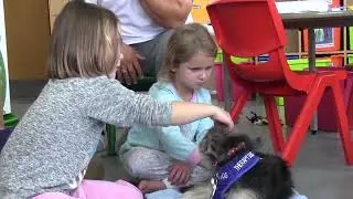 Pets as Therapy dogs at Worthing and St Richard's Hospitals - 2017