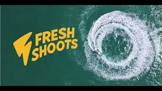 Introducing Fresh Shoots