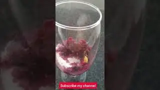 Falsa Mojito | Grewia Asiatica Mojito | Short | Food Table and Me